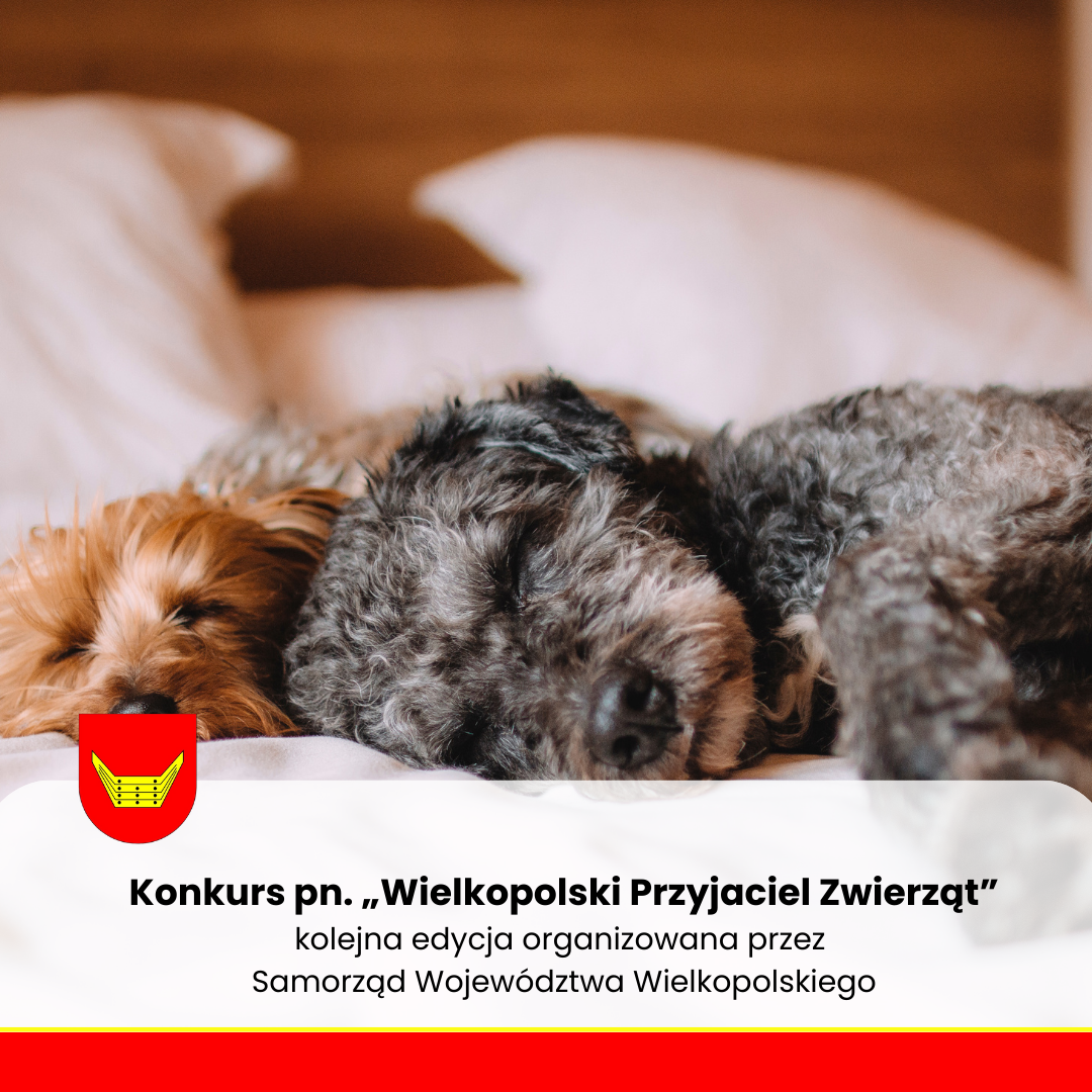 Druga edycja konkursu pn. „Wielkopolski Przyjaciel Zwierząt”